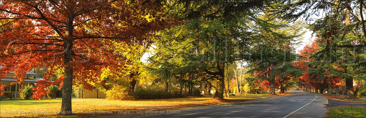 Peter Bellingham Photography Delany Avenue - Bright - VIC (PBH4 00 13960)